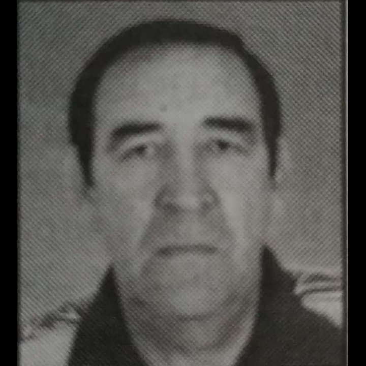 Bogoljub Krstić