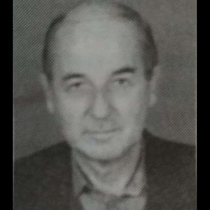 Vladimir Prigara