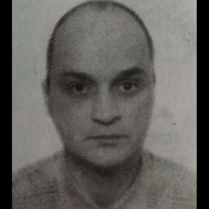 Slobodan Nikolić