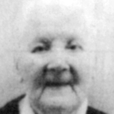 Nadežda Mate