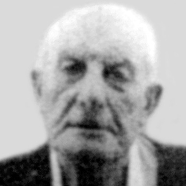 Milivoje Topić