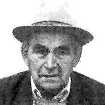 Boro Nikolić