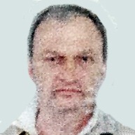 Dobrica Arsić