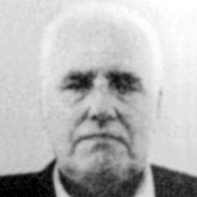 Veljko Ivanović