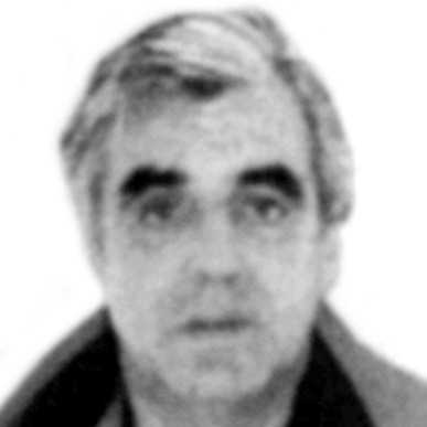 Milorad Perišić