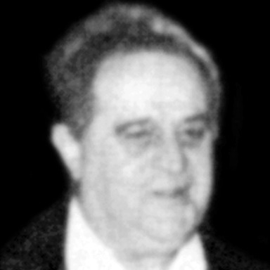 Miroljub Đokić
