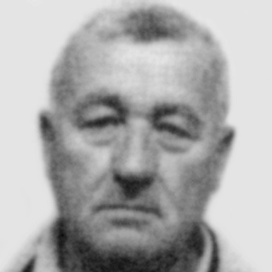 Ljubomir Nikolić