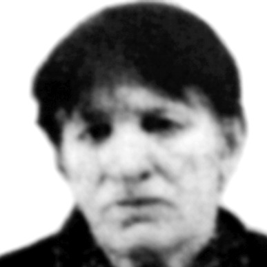 Danica Radović