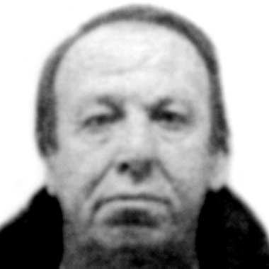 Branislav Gajić