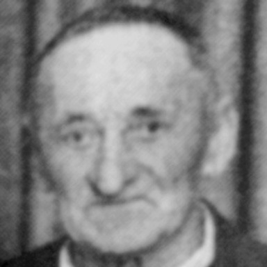Radoslav Penić