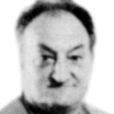 Ljubodrag Dolamić