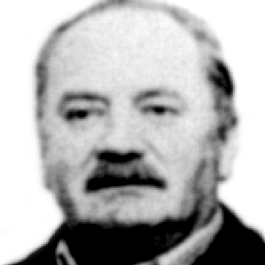 Veselin Bulatović