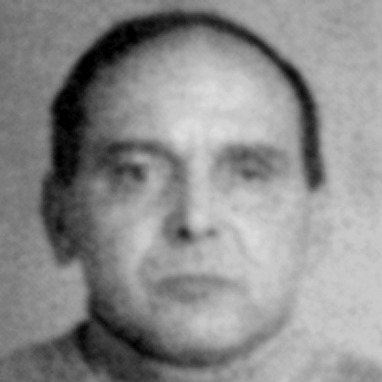 Vladimir Ristić