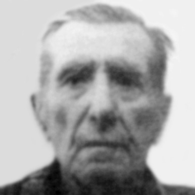 Dušan Uzelac
