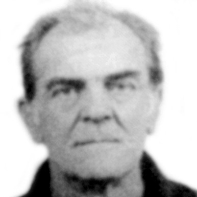 Dragomir Tatomirović