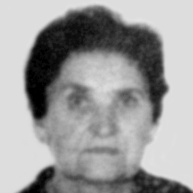 Julka Paunović