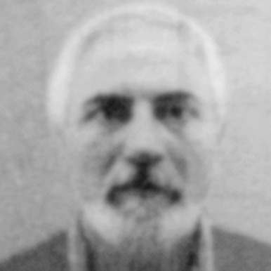 Milivoje Radović