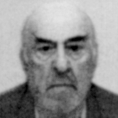 Radisav Janković