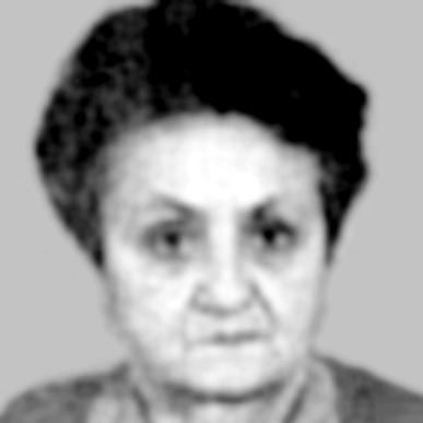 Vasa Vuletić