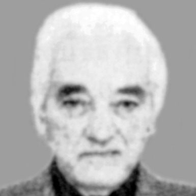 Dragoman Vojvodić