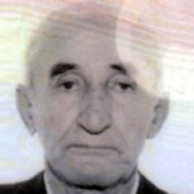 Dušan Nikolić