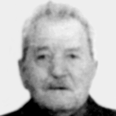 Bora Stoiljković