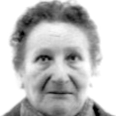 Margit Veličković
