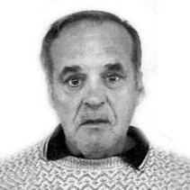 Mehmed Suljagić