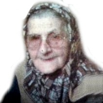 Vezira Pleh