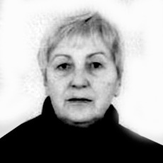 Zulfika Baždar