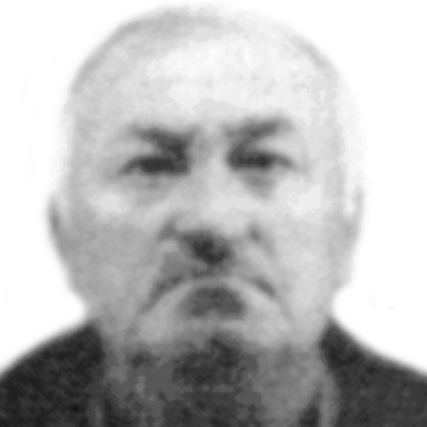 Petar Petrović