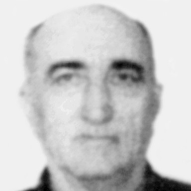 Lazar Kobilarov