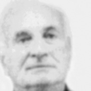 Momir Rakić