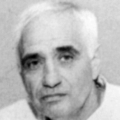Mladen Borokić