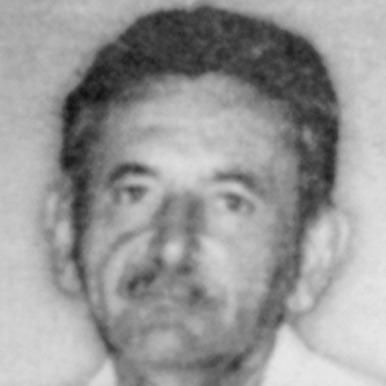Stevan Brkić