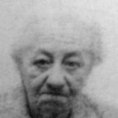 Eva Trninić