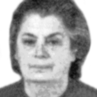 Božidarka Petrović