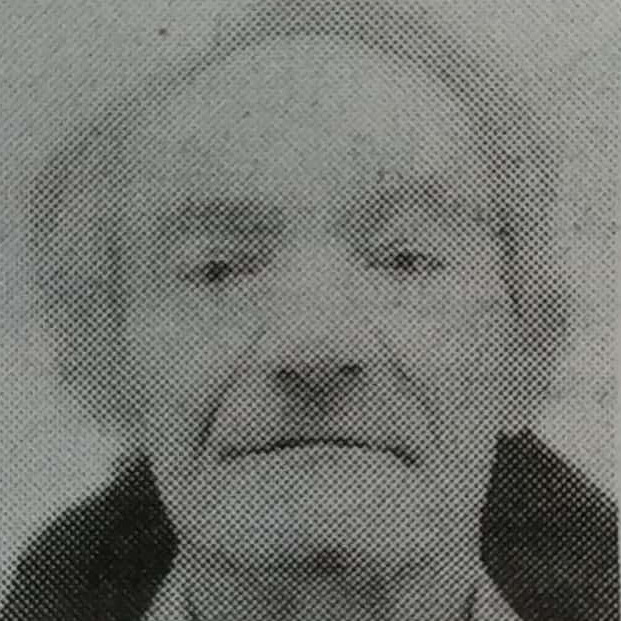 Todor Bajagić