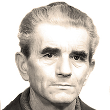 Dario Mendiković