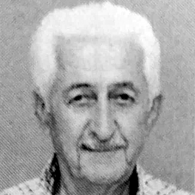 Borislav Avramović