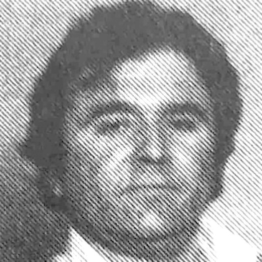 Milutin Nikolić