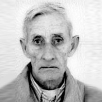Ibro Lončarić
