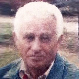 Gojko Durić
