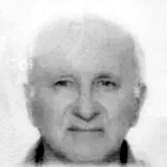Mirko Ljubičić