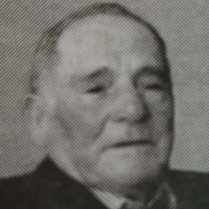 Milan Radenković