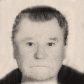 Faik Hanušić