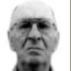 Alozije Vujković Lamić