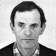 Stjepan Čović - Šestić