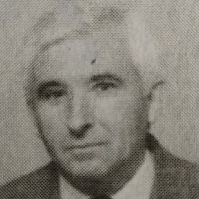Nikola Mitrović