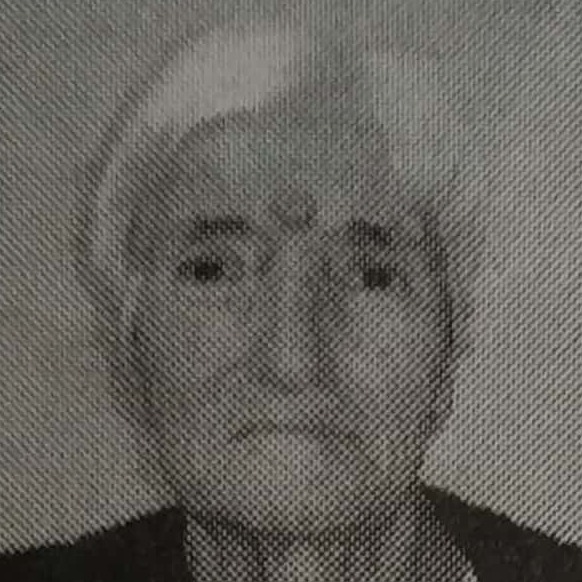 Pejka Petrić
